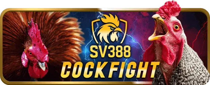 Hỗ trợ khách hàng 24/7 Fly888